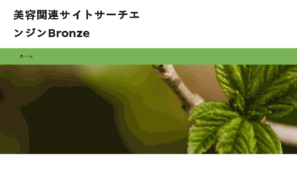 bronze-jlink.com