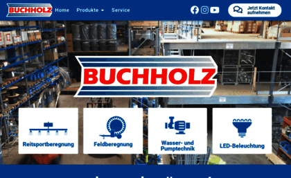 buchholz-pumpen.de