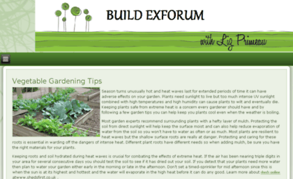 buildexforum.com