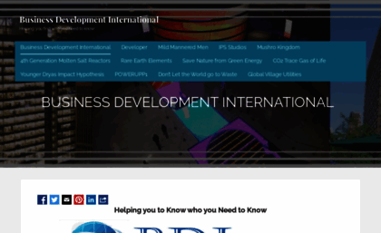 businessdevelopmentinternational.biz