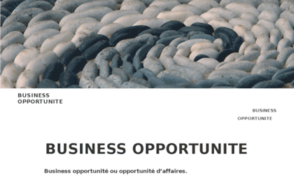 businessopportunite.com