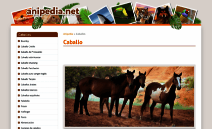 caballos.anipedia.net