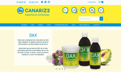 canariz2.com