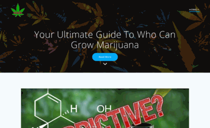 cannabiscreativeconference.com