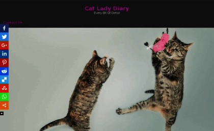 catladydiary.com