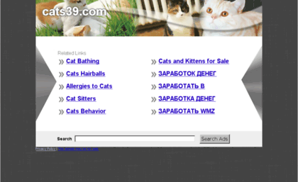 cats39.com