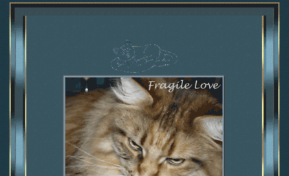 cattery-fragile-love.nl