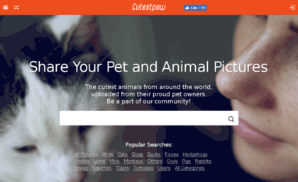 cdn.cutestpaw.com