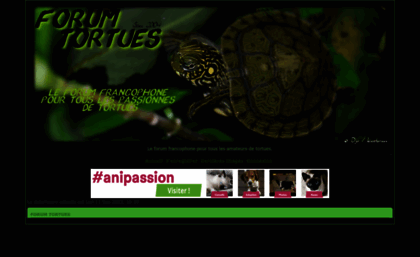 cheloniaforum-tortue.forumactif.com