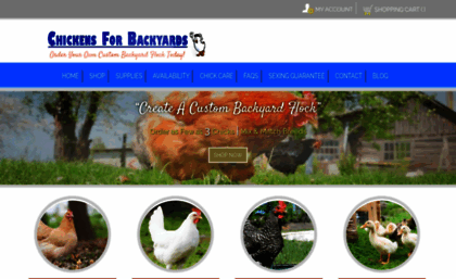 chickensforbackyards.com