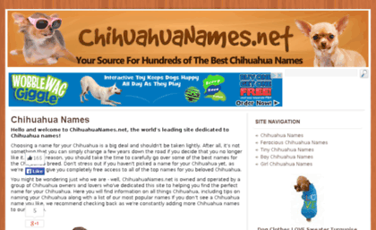 chihuahuanames.net