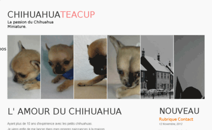 chihuahuateacup.fr