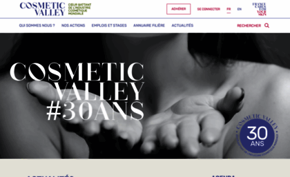 cosmetic-valley.com