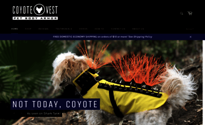 coyotevest.com