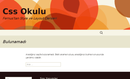 cssokulu.com