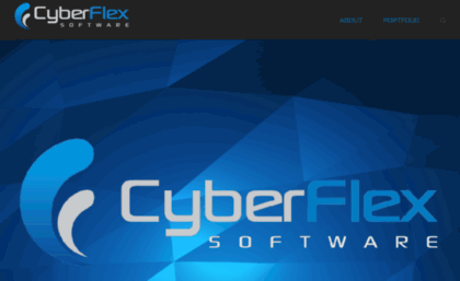 cyberflexsoftware.com