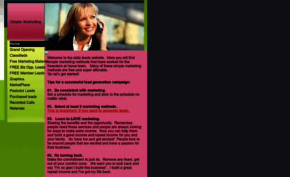 dailyleads.homestead.com