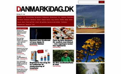 danmarkidag.dk