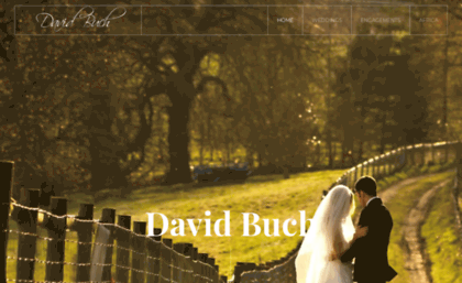 davidbuch.com