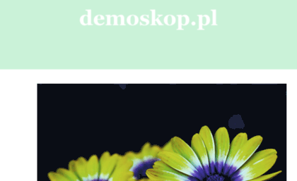 demoskop.pl
