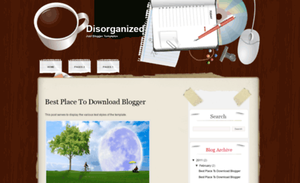 disorganized-bmt.blogspot.com