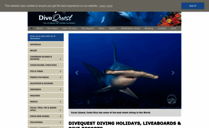 divequest-diving-holidays.co.uk