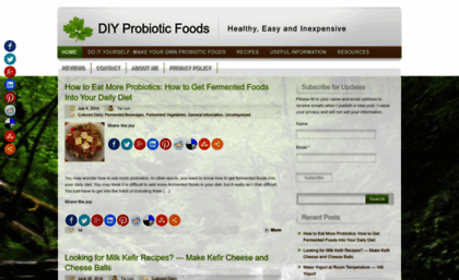 diyprobioticfoods.com