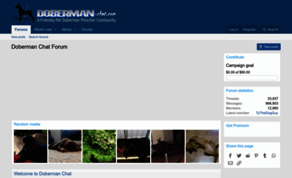 doberman-chat.com