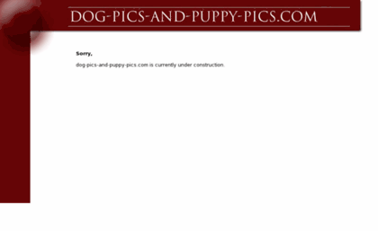dog-pics-and-puppy-pics.com