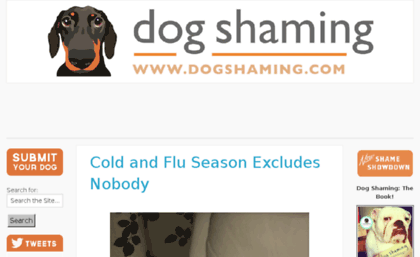 dog-shaming.com
