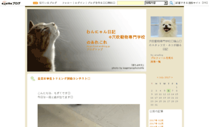 dogschool.exblog.jp