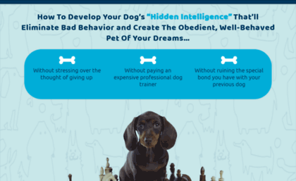 dogteachers.com