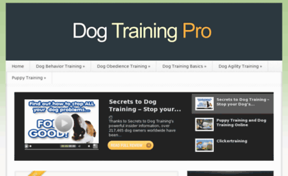 dogtrainingpro.com