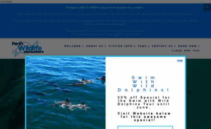 dolphins.com.au