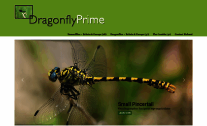 dragonflyphotofavourites.co.uk