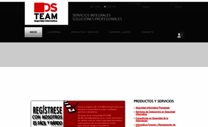 dsteamseguridad.com