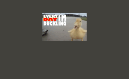 duckl.com