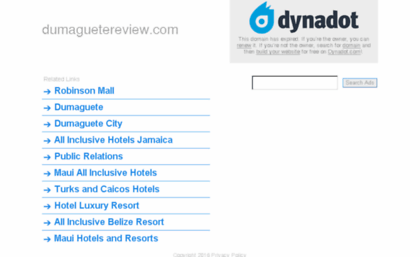 dumaguetereview.com