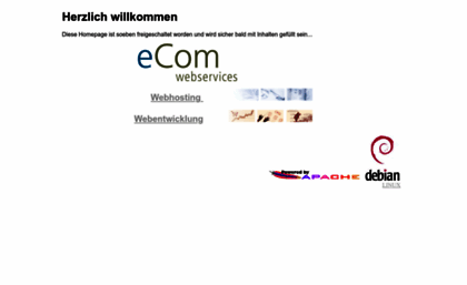 ecom-server.de
