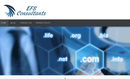 efs-consultants.com