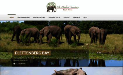 elephantsanctuary.co.za