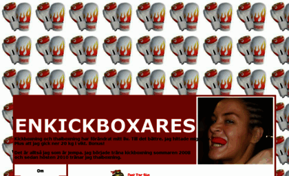 enkickboxares.blogg.se
