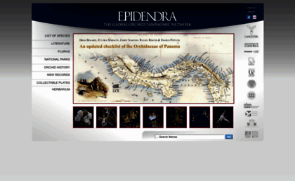 epidendra.org