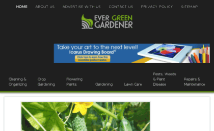 evergreengardener.com