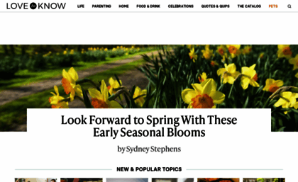 fashion-history.lovetoknow.com