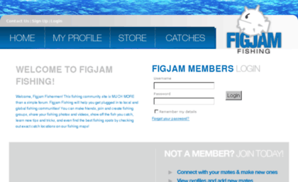 figjamfishing.com.au
