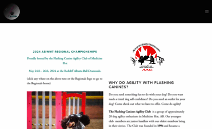 flashingcanines.com