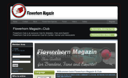flowerhornmagazin.com