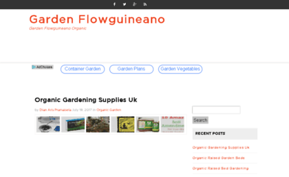 flowguineano.net
