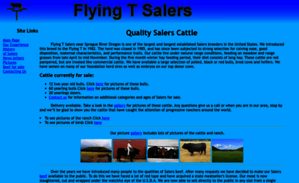 flyingtsalers.com